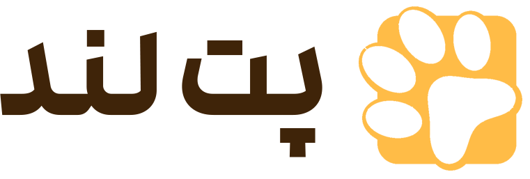 جیک جیک شاپ