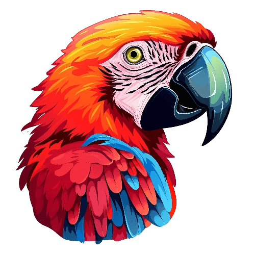 تجهیزات طوطی